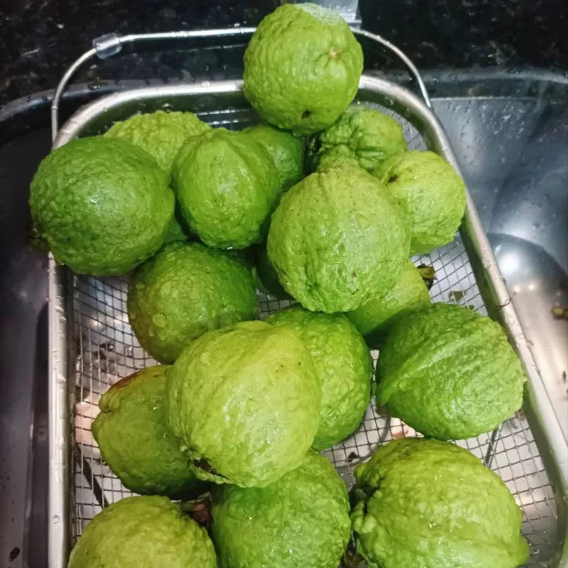 Escorredor SlimFlex– Praticidade e Estilo para sua Cozinha | Lar Equipado